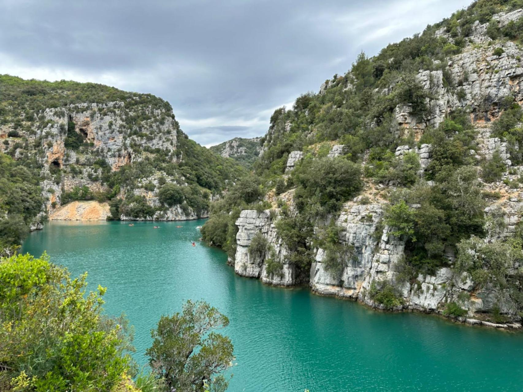 Provence Sweet