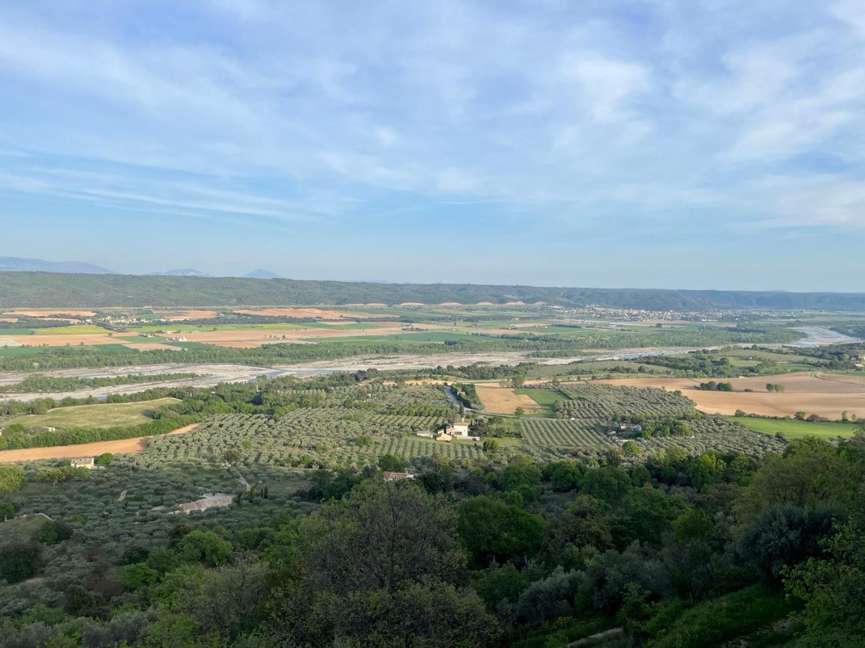 Provence Sweet
